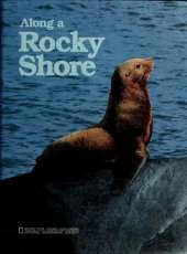 Along a Rocky Shore