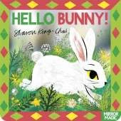 Hello Bunny!: A mirror search-and-find
