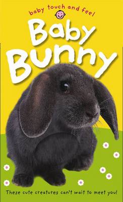 Baby Bunny: Baby Touch & Feel