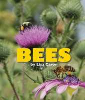 Bees