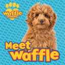 Meet Waffle!