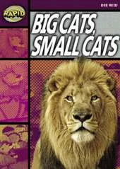 Rapid Stage 1 Set A Reader Pack: Big Cats Small Cats (series 1)