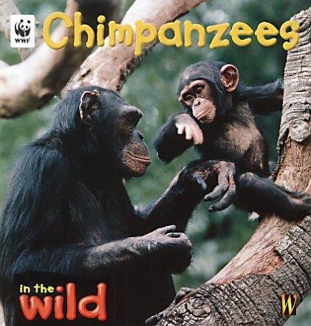 In The Wild: Chimpanzees