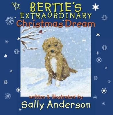 Bertie's Extraordinary Christmas Dream: Bertie's Extraordinary Christmas Dream