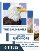 US Symbols (set of 6)