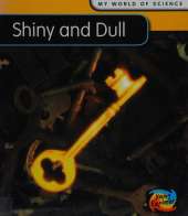 Shiny and Dull