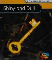 Shiny and Dull