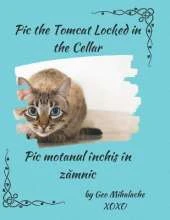 Pic the Tomcat Locked in the Cellar - Motanul Pic închis în zămnic: Poveste bilingvă engleză româna pentru copii / English Romanian Story for Children