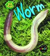 Worm