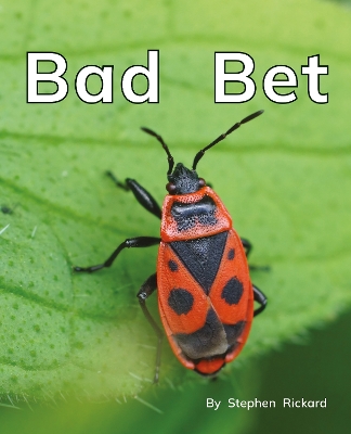 Bad Bet: Phonics Phase 2