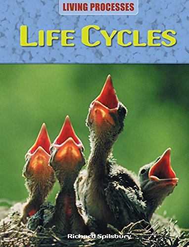 Life Cycles