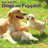 All about Dogs and Puppies