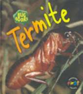 Termite