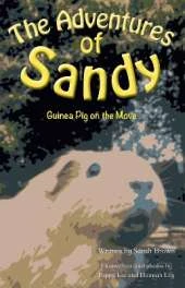 The Adventures of Sandy