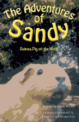 The Adventures of Sandy