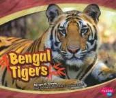 Asian Animals Bengal Tigers