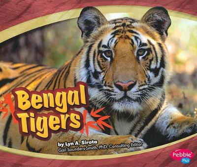 Asian Animals Bengal Tigers