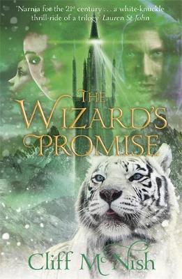 The Doomspell Trilogy: The Wizard's Promise: Book 3