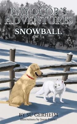 Bayocor's Adventures, Snowball
