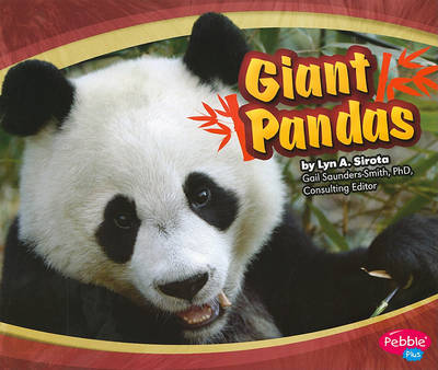 Giant Pandas