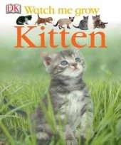 Kitten