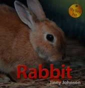 My New Pet: Rabbit