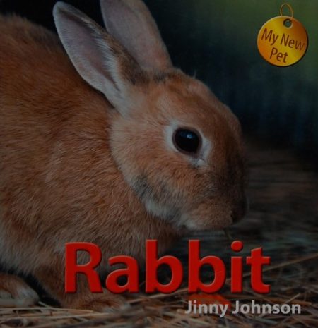 My New Pet: Rabbit