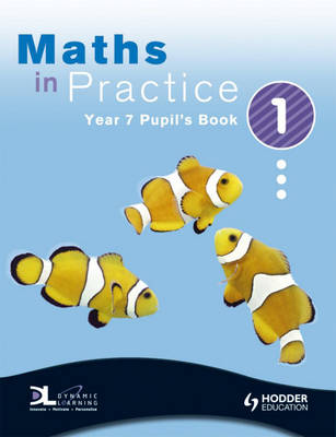 Maths in Practice