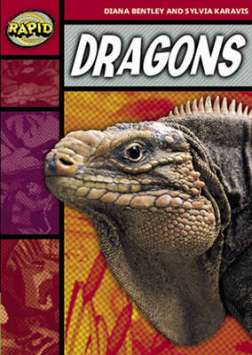 Rapid Stage 2 Set B Reader Pack: Dragons (Series 1)