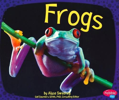 Amphibians Frogs