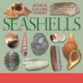 POCKET SPOTTERS SEASHELLS