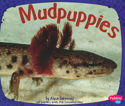 Mudpupples