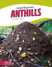 Anthills