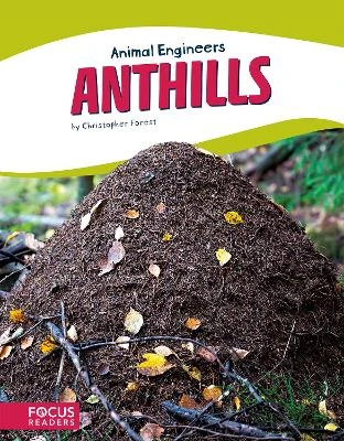 Animal Engineers: Anthills