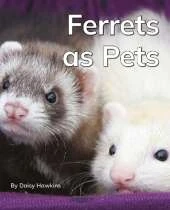 Ferrets as Pets: Phonics Phase 3