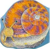 Pocket Snail