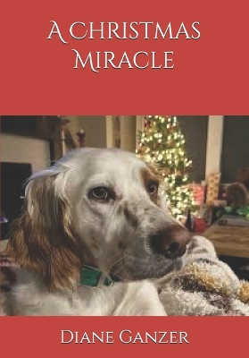 A Christmas Miracle