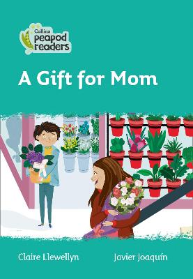 Level 3 - A Gift for Mom