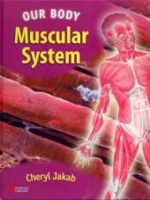 Our Body Muscular System Macmillan Library Australia