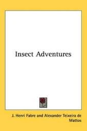 Insect Adventures