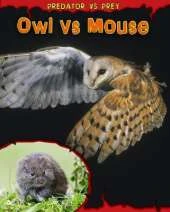 Owl vs Mouse