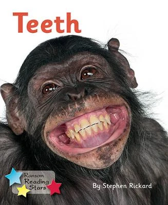 Teeth (Pack 6)