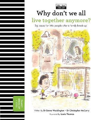 Why Don't We All Live Together Anymore?: Big issues for little people after a family break-up