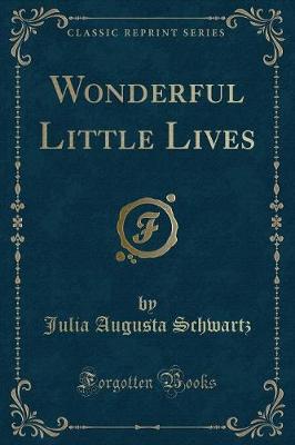Wonderful Little Lives (Classic Reprint)