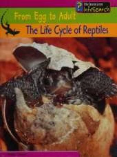 The Life Cycle of Reptiles