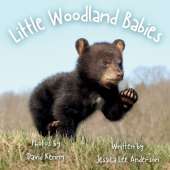 Little Woodland Babies