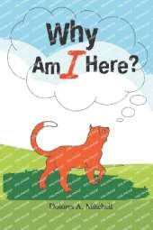 Why Am I Here?