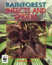 Insects and Spiders