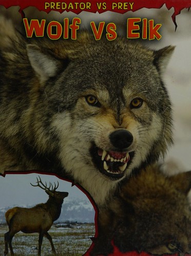 Wolf vs Elk