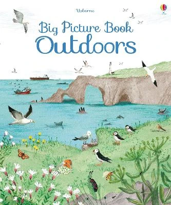 Big Picture Book of Outdoors